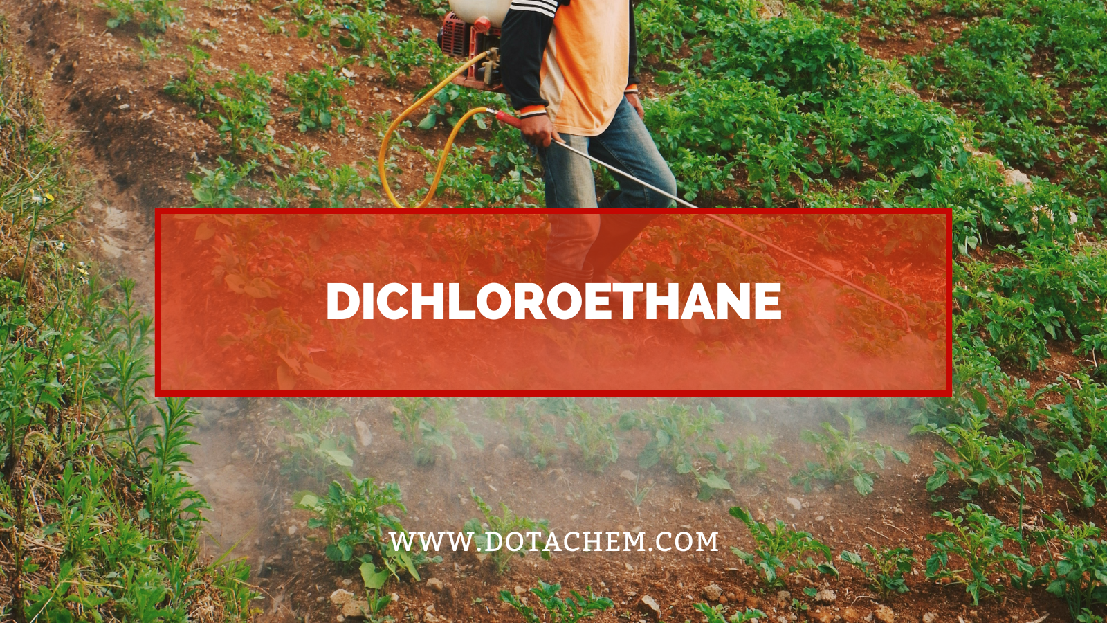 Dichroloethanehane को लागी Gichleroethahane को लागी अत्यधिक कुशल औद्योगिक समाधान अनलक गर्नुहोस्