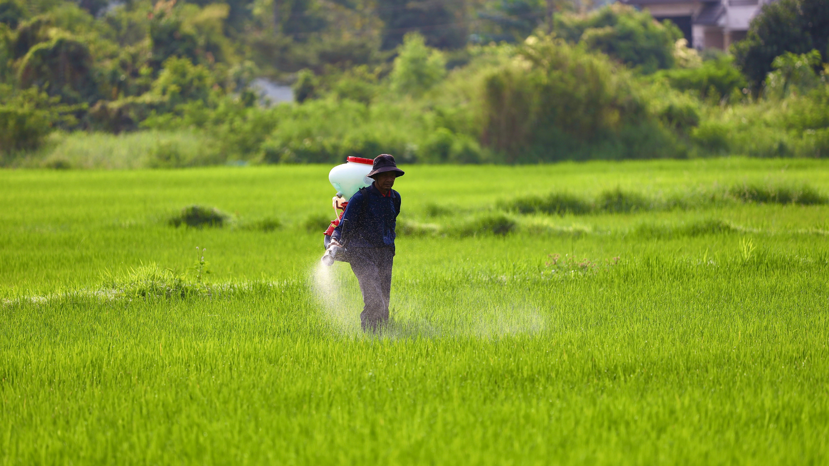 Agrochemicals मा Monoethanolamine के को लागी प्रयोग गरिन्छ?